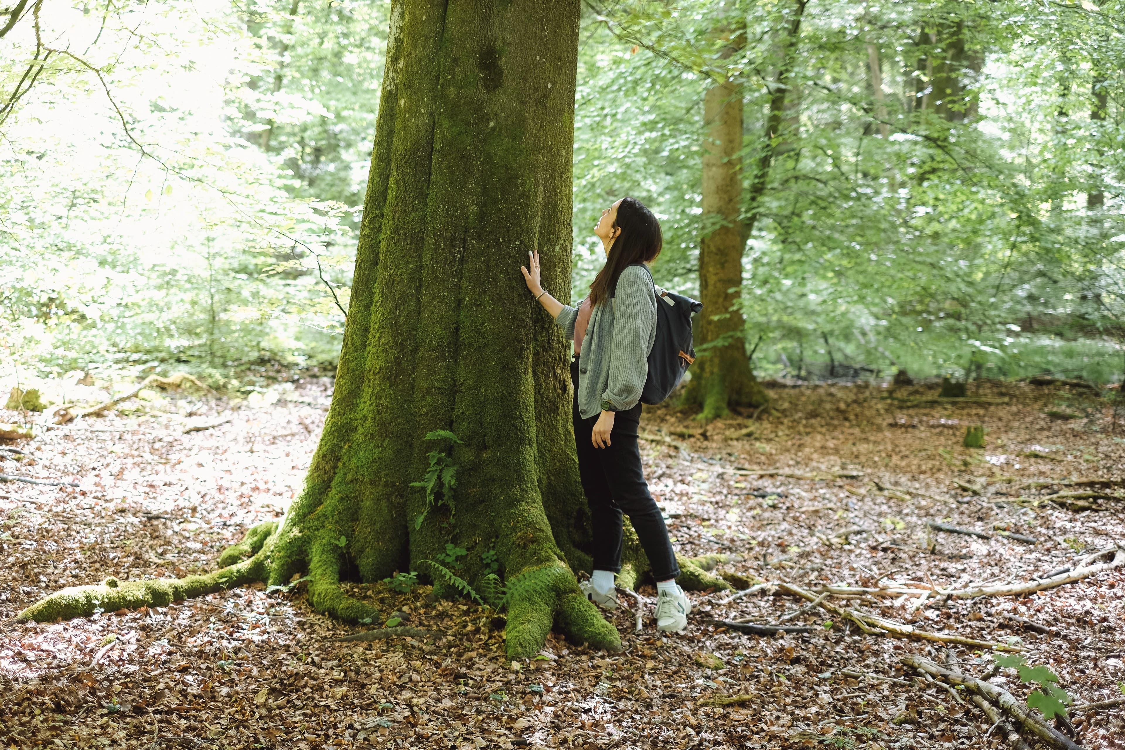 Eine Frau legt beim Waldbaden eine Hand an einen Baumstamm