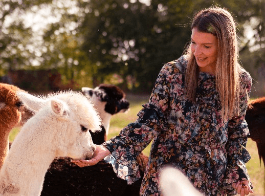 Eine Frau streichelt beim Alpaka-Date ein Alpaka