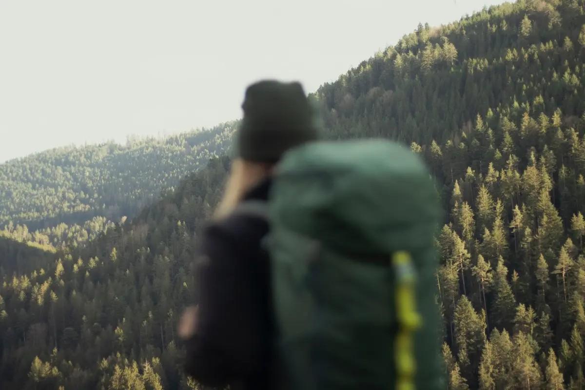 Eine Frau blickt über die Wipfel des Schwarzwalds