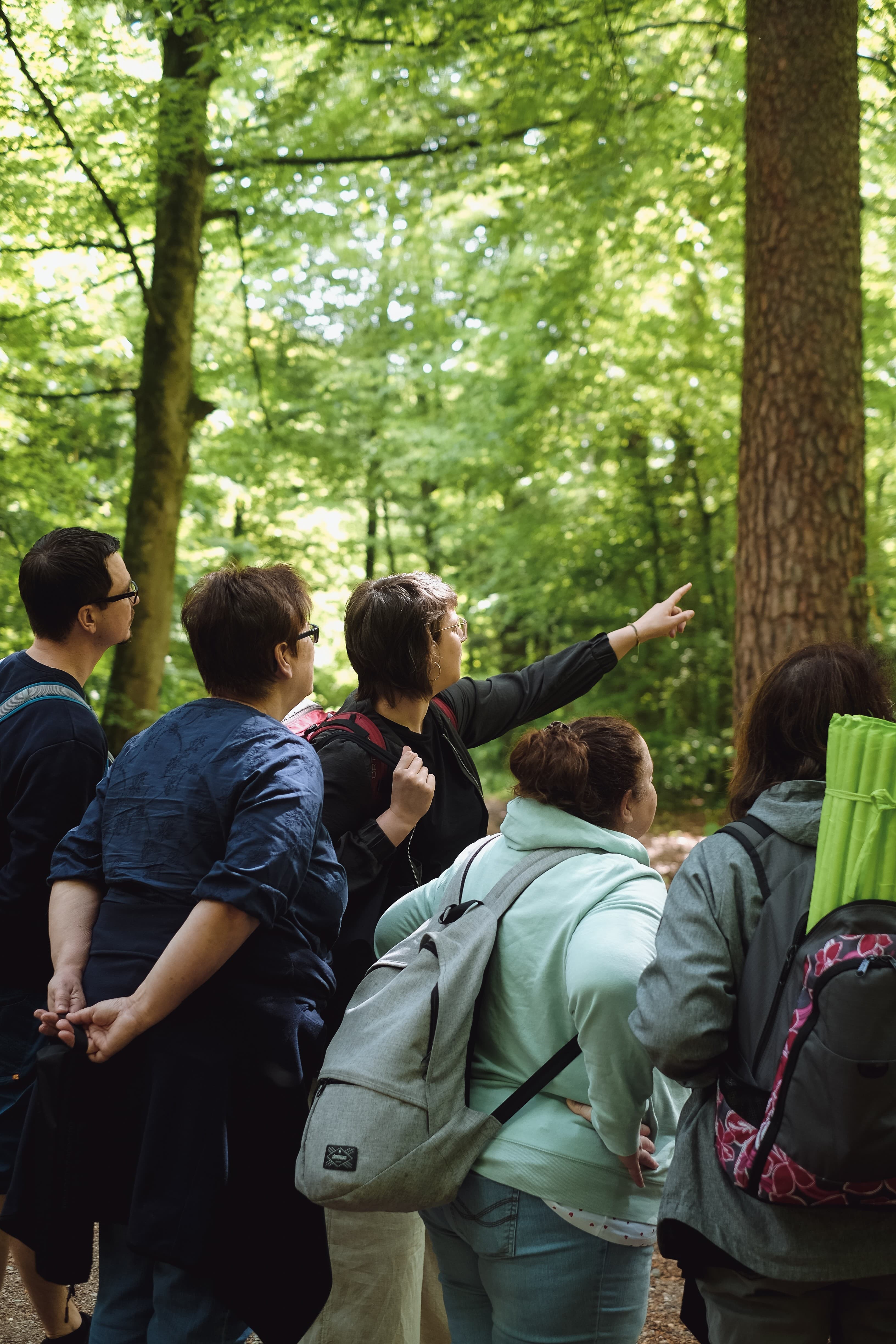 Eine Gruppe von Menschen beim Waldbaden