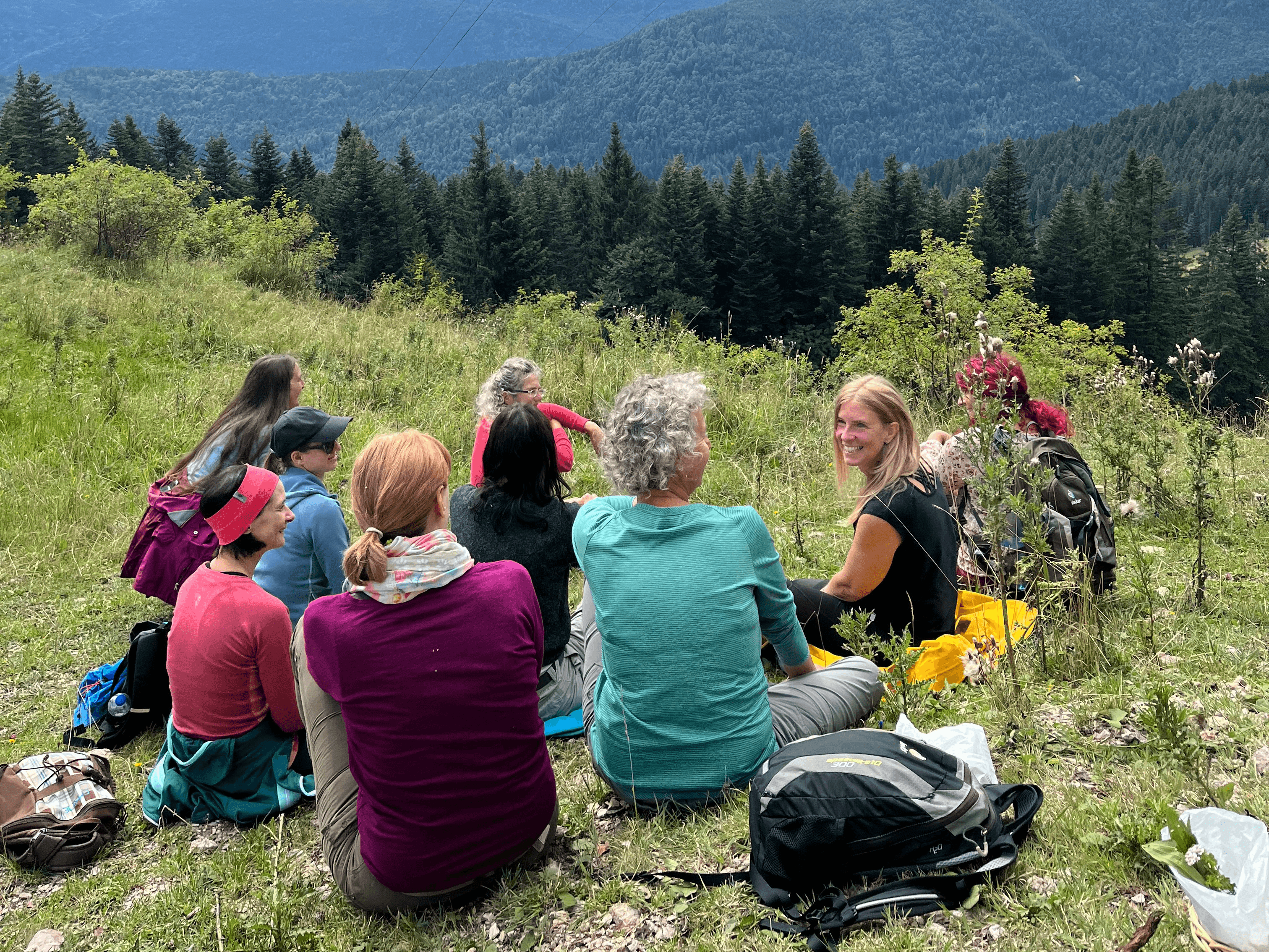 Eine Gruppe sitzt bei einer Wildkräuterwanderung auf einer Wiese in den Alpen