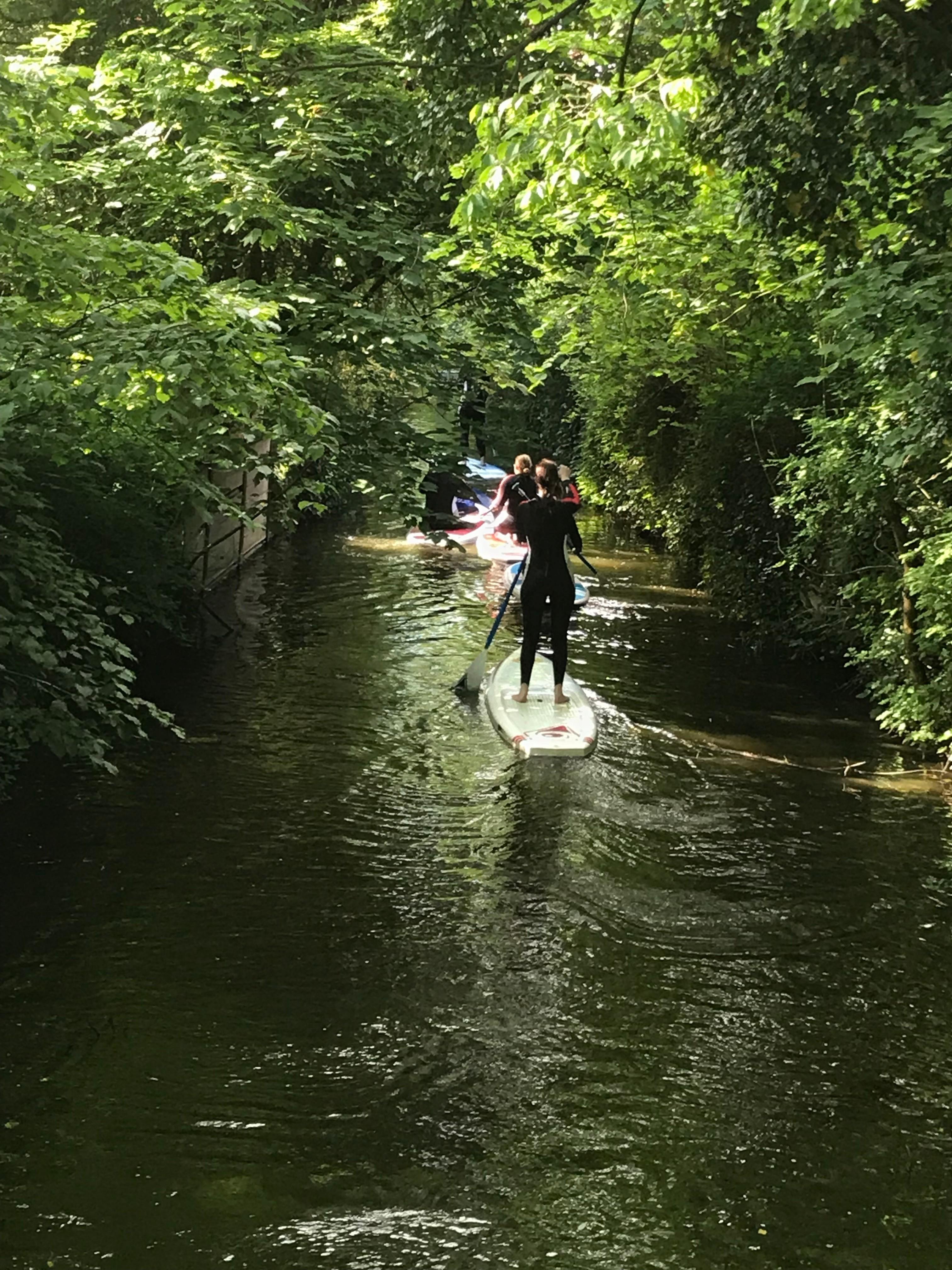 Eine Gruppe bei einer SUP-Tour im Dümmer Weserland