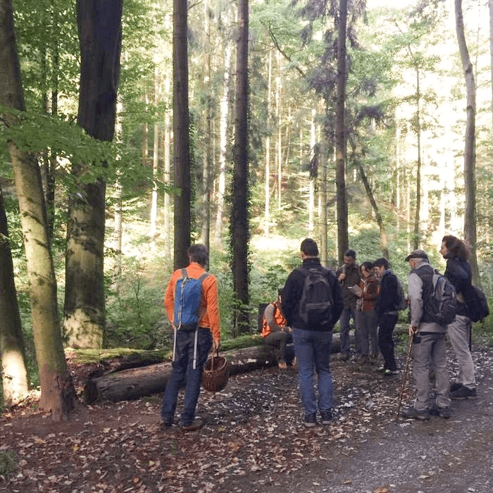 Eine Gruppe Menschen bei einer Pilzwanderung