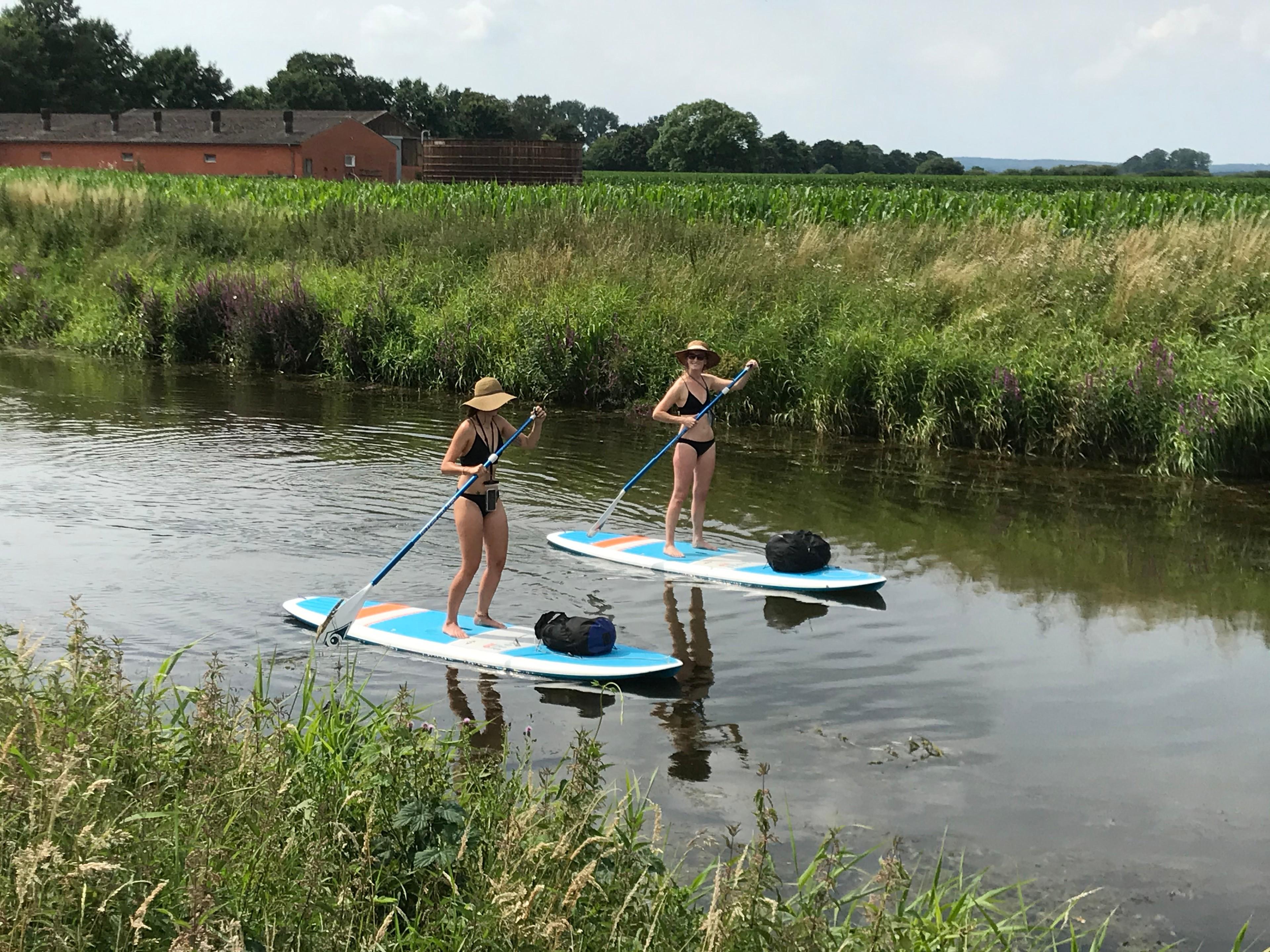 Eine Gruppe bei einer SUP-Tour im Dümmer Weserland