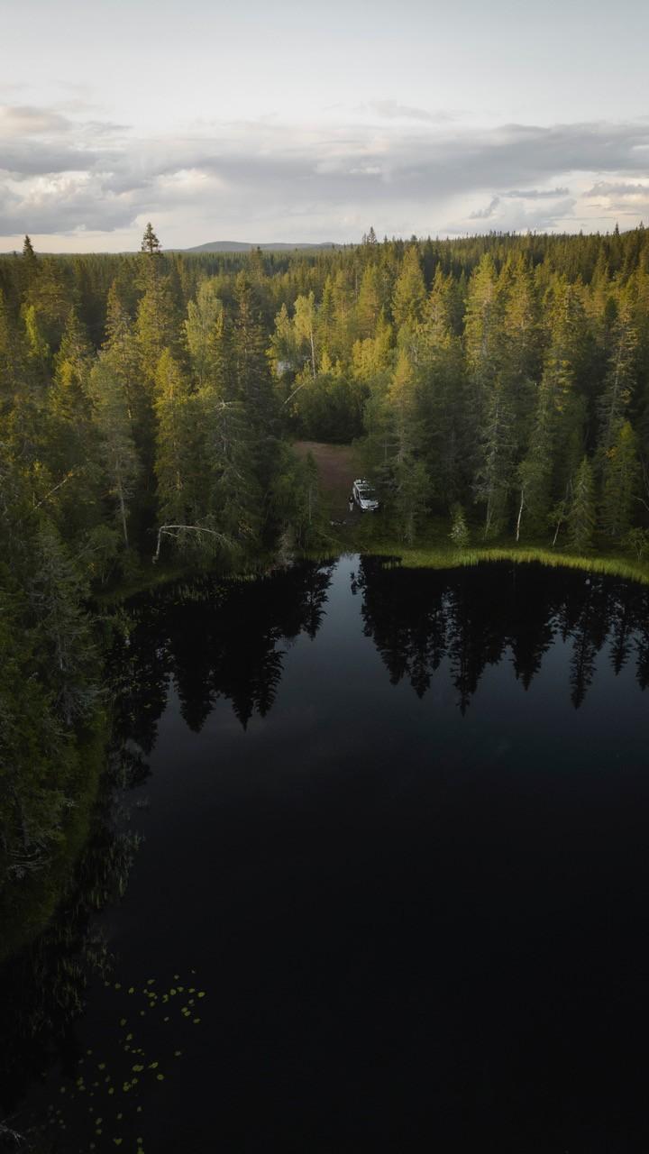 Ein Van steht im Schwarzwald an einem See