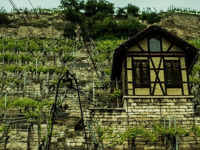 Weinsafari