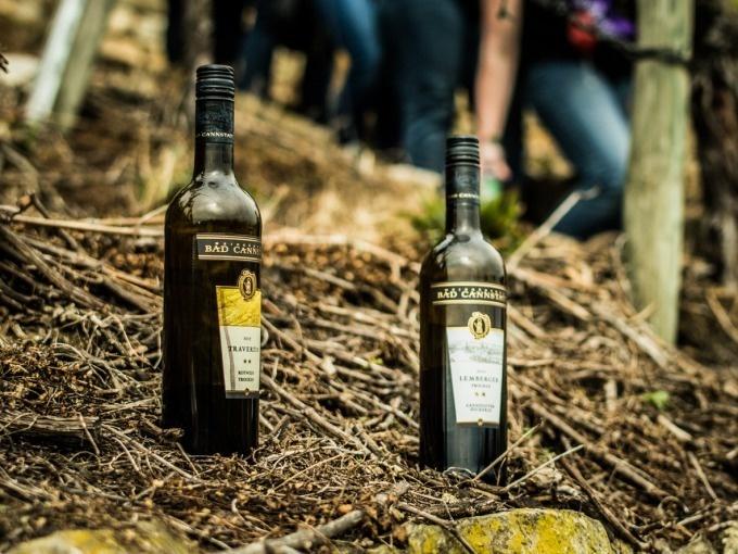 Weinsafari