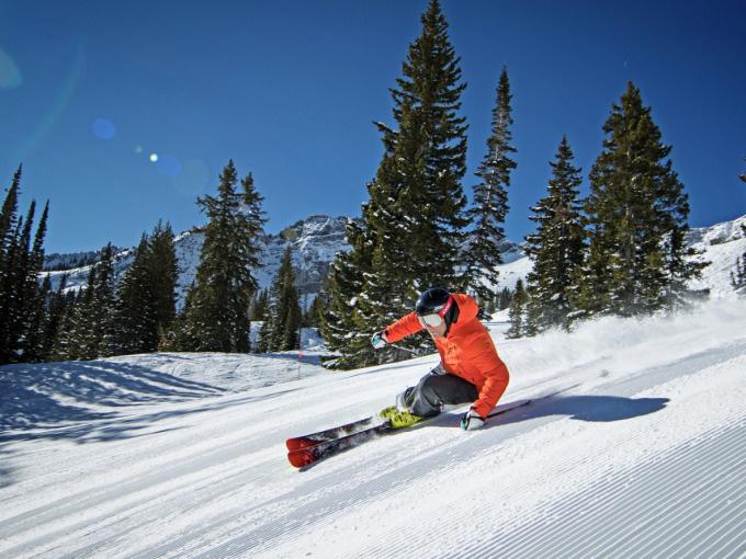 Skikurs für Einsteiger am Feldberg (3Std eintägig)