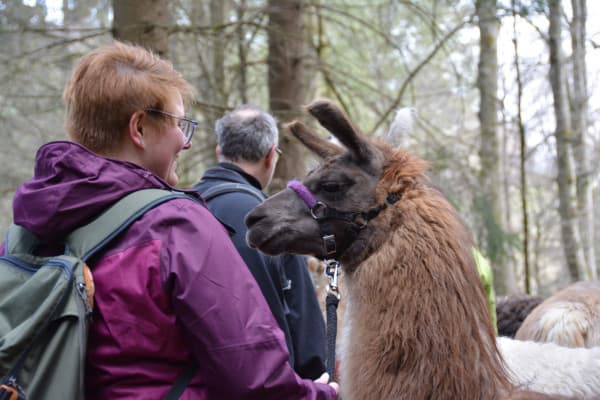 Bei so einer Lama-Wanderung entstehen Freundschaften zwischen Mensch und Lama ;-)