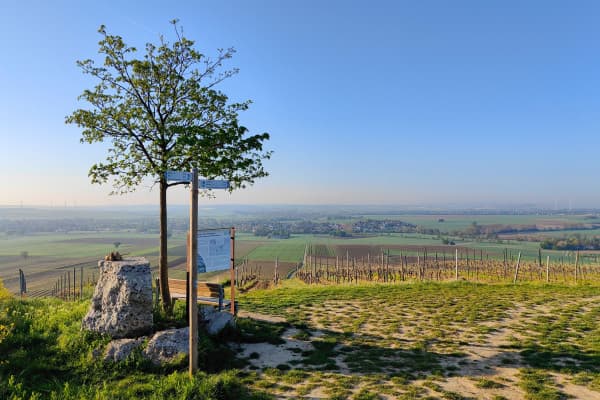 Selzstellung mit Blick auf den Selzbogen