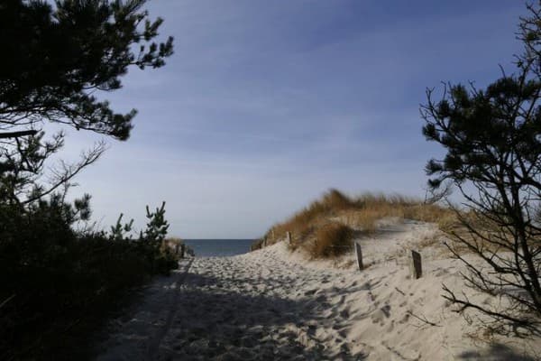 Foto- & Fahrradtour in Zingst: Nationalpark